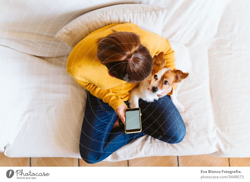 junge Frau mit Mobiltelefon, daneben süßer kleiner Hund. Auf der Couch sitzend, Schutzmaske tragend. Bleiben Sie zu Hause Konzept während Coronavirus covid-2019