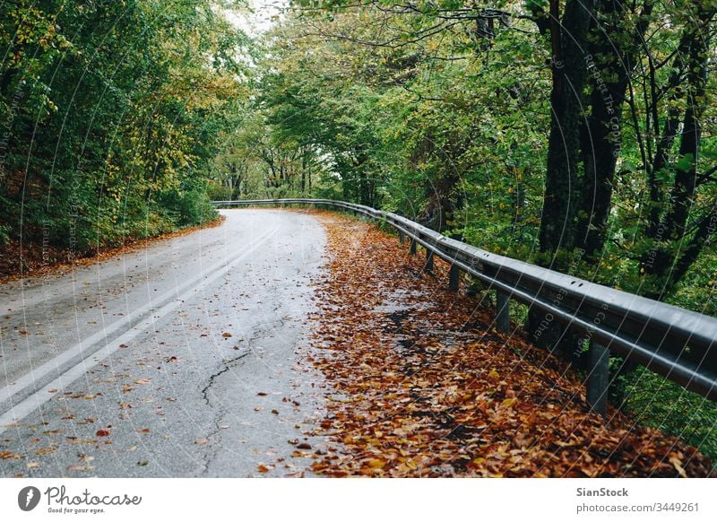 Herbstlandschaft, Straße im Wald fallen Natur Baum Weg Hintergrund Landschaft grün Griechenland evros Rodopi Saison Licht Sonne schön Wälder durch Blätter