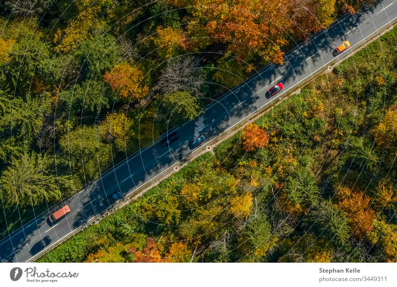 Vertikale Ansicht aus einer Drohne an einer Herbststraße mit fahrenden Autos, Vogelperspektive. PKW Verkehr Geschwindigkeit Antenne Straße fallen Sonne Natur