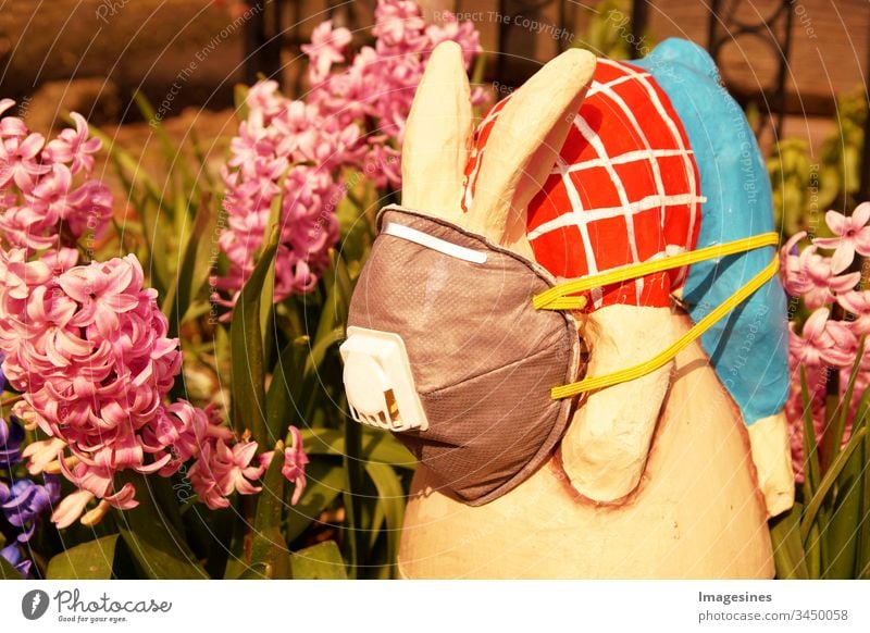 Osterhase mit schützender medizinischer Gesichts - Maske auf Garten Hintergrund. Konzept von Ostern und Quarantäne während des Coronavirus Covid-19 . Ostern im Konzept der Corona Tage