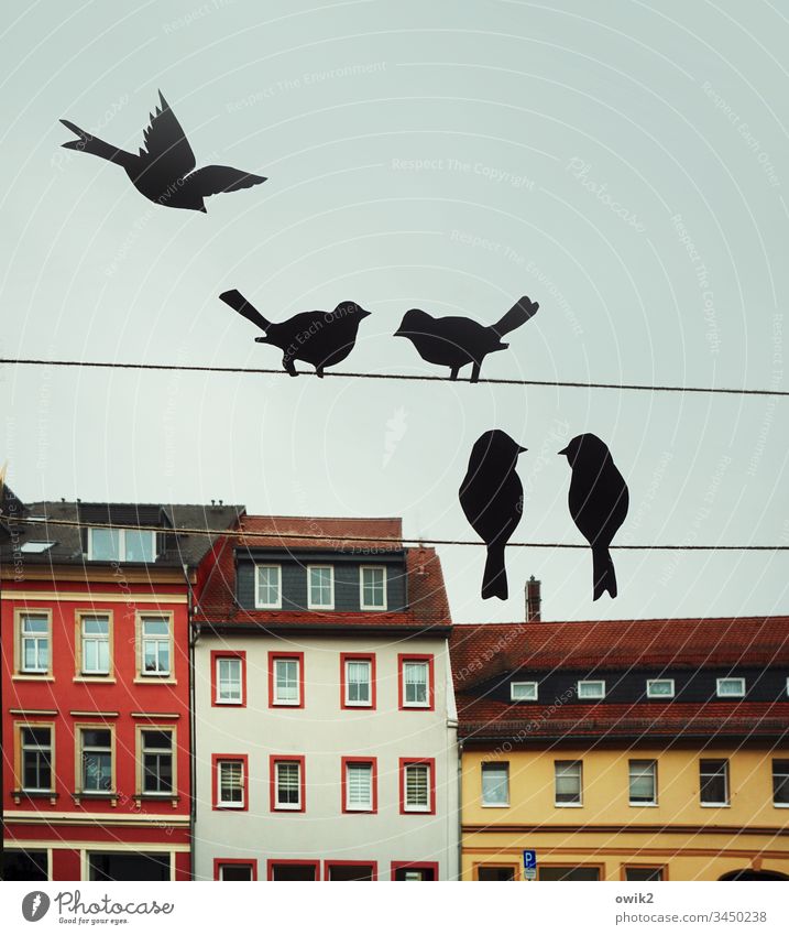 Plausch am Fenster Deko Papier Vögel Silhouette fliegen sitzen schnattern zwitschern Kontakt miteinander Treffen Häuserzeile bunt Fassade Dächer gegenüber