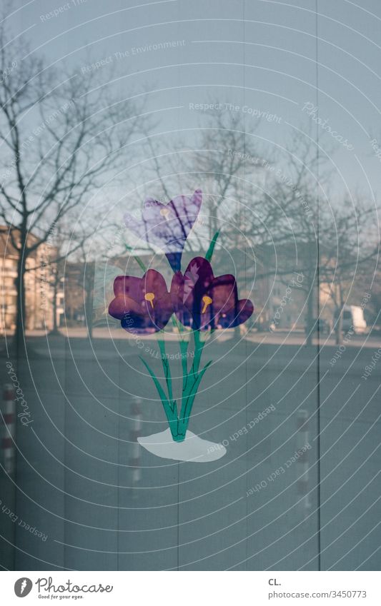 gemalte tulpen auf einer fensterscheibe Blume Fenster Tulpe Fensterscheibe Spiegelung Sichtschutz Lamelle Lamellenjalousie Straße Farbfoto Menschenleer Tag