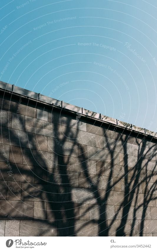schatten eines baums auf einer wand Schatten Baum Wand Gebäudeteil Architektur Menschenleer Außenaufnahme Farbfoto Mauer Tag grau Strukturen & Formen Muster