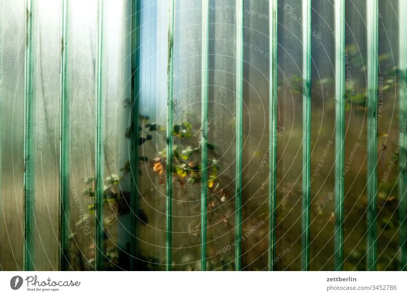 Gläserne Wand außen frühjahr frühling menschenleer textfreiraum grenze mauer glas durchsichtig transparent transluzent grundstück nachbarschaft