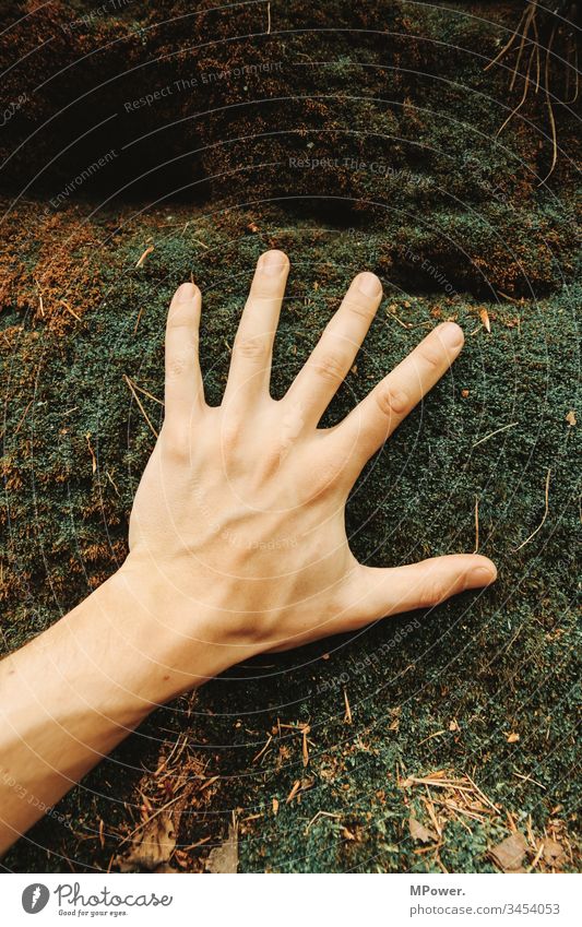 Hand auf moos Natur Moos Wald Außenaufnahme Pflanze grün Farbfoto Makroaufnahme Nahaufnahme Umwelt Detailaufnahme Grünpflanze Finger fühlen erfahren spüren