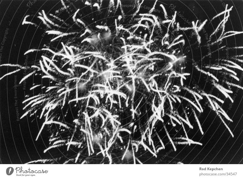 Firework004 Nacht Jahrmarkt Silvester u. Neujahr Langzeitbelichtung Freizeit & Hobby Feuerwerk Reaktionen u. Effekte Himmel Stern (Symbol) Bewegung
