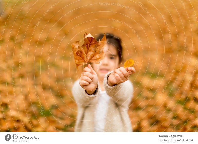 Kleines Mädchen im Herbstpark brünett Kaukasier Kind niedlich fallen Wald Glück Blatt Freizeit wenig natürlich Natur im Freien Park Person Porträt posierend