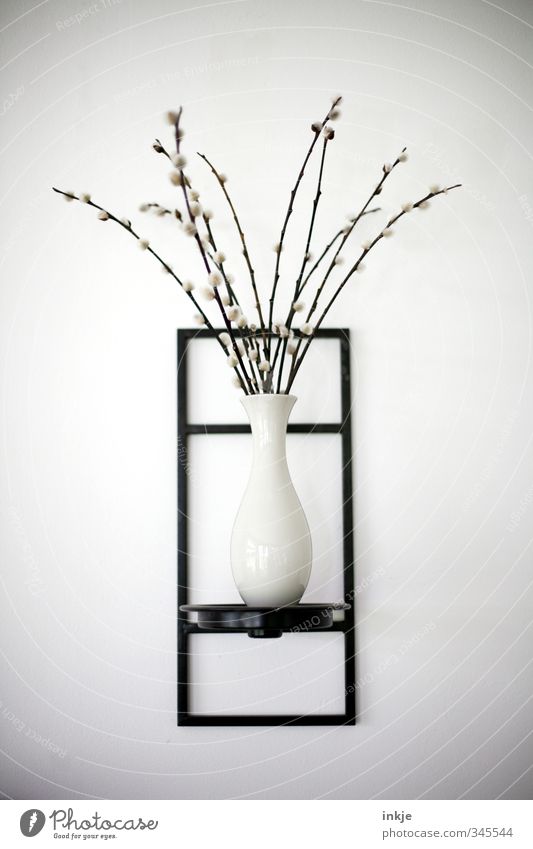graphisch | das Organische muss vors Eckige Häusliches Leben Dekoration & Verzierung Pflanze Weidenkätzchen Blumenstrauß Vase Wanddekoration Halterung Linie