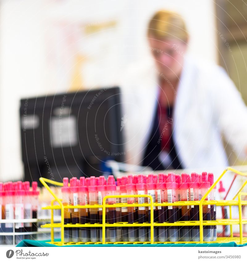 Gestell von Röhrchen mit Blutproben. Medizin Tube Wissenschaft Prüfung Probe Ablage Labor Analyse wissenschaftlich forschen Biologie Experiment Chemie
