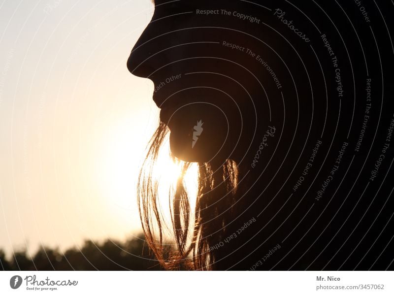 Silhouette einer Frau Gesicht Nase Profil Mund Haare & Frisuren schwarz schön Sonnenuntergang Haarsträhne Wärme Lippen Kopf Kinn Gegenlicht Licht Romantik