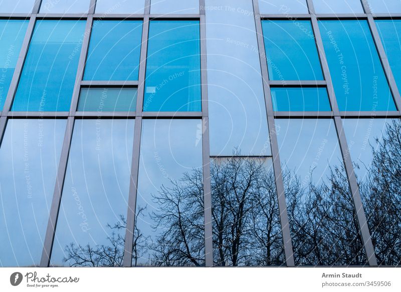 blaue Glasfassade mit spiegelnden Bäumen abstrakt Architektur Hintergrund Gebäude Business Großstadt Konstruktion Unternehmen Design Detailaufnahme Wohnung
