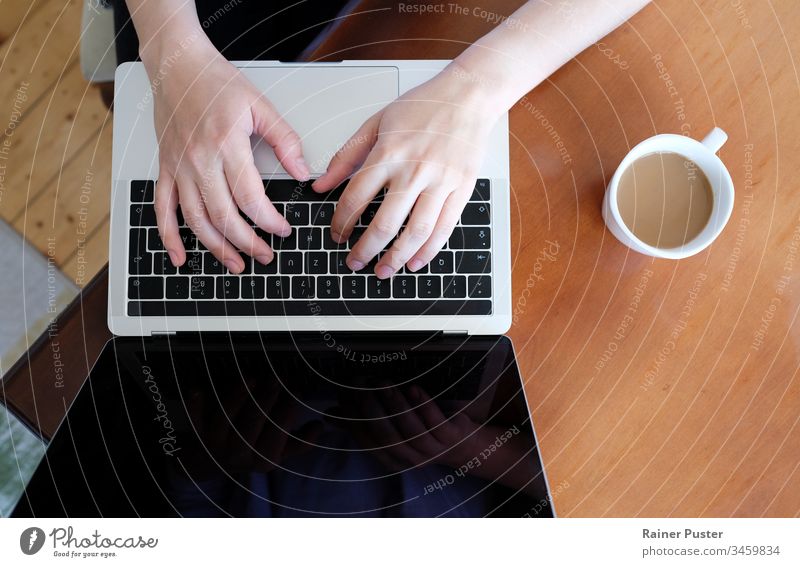 Nahaufnahme der Hände einer Frau, die zu Hause auf einem Laptop tippt Business Kaffee Mitteilung Computer Schreibtisch Unternehmer Freiberufler Heimarbeitsplatz