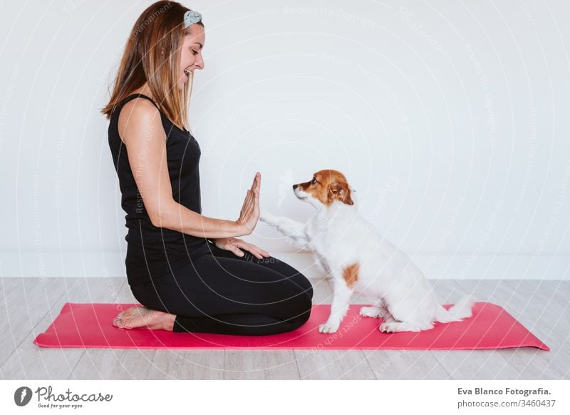 süßer kleiner Jack-Russell-Hund, der mit seiner Besitzerin zu Hause auf einer Yogamatte liegt. Gesunder Lebensstil im Haus Frau heimwärts Unterlage Haustier