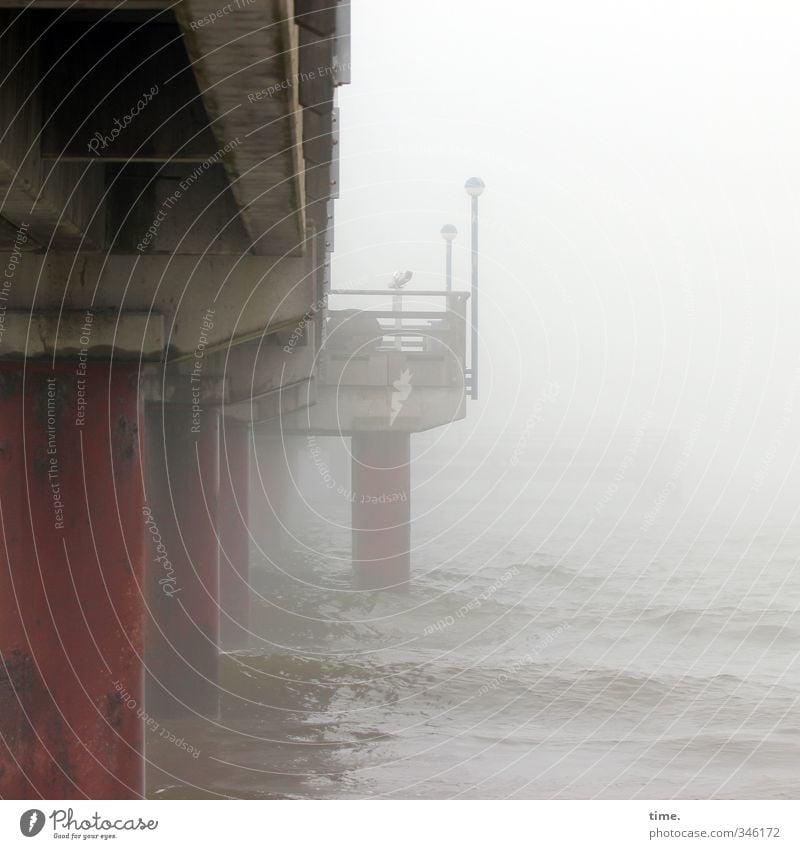 Koloss Wasser Klimawandel schlechtes Wetter Nebel Wellen Küste Ostsee Brücke Architektur Seebrücke Lampe Holzpfahl Beton Plattform bedrohlich dunkel unten