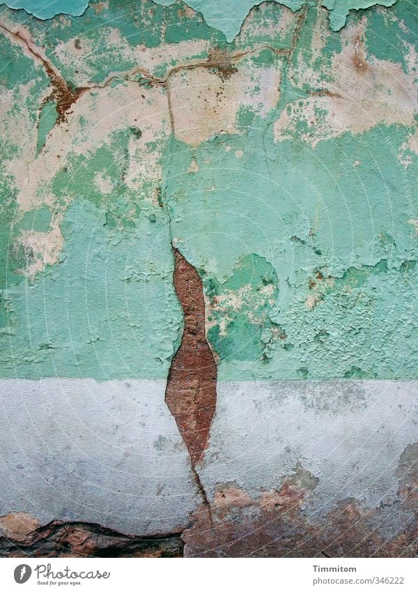 Ein Märchen. Heidelberg Haus Mauer Wand Blick ästhetisch violett weiß Gefühle Putz Figur Riss verfallen Silhouette Verbindung Kolibris Farbfoto Außenaufnahme