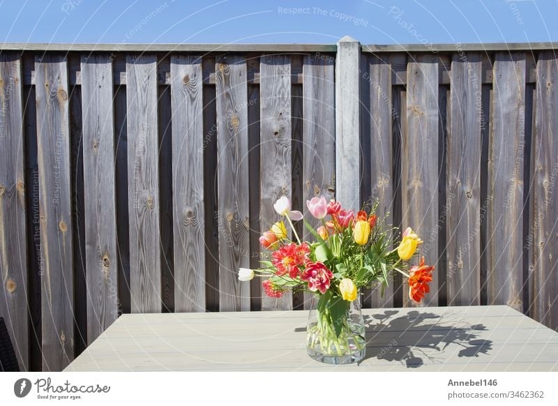 Strahlender Frühlingsstrauß bunter Blumen in einer Glasvase auf einem Gartentisch in der Nähe eines Holzzauns an einem sonnigen Tag Tisch hell Vase schön