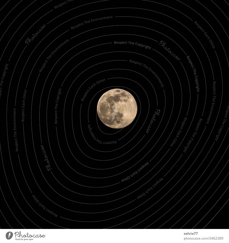 Vollmond bei Nacht Natur Umwelt Mond Mittelpunkt Außenaufnahme Hintergrund neutral Freisteller Astronomie Planet trabant 600 leuchten Menschenleer Farbfoto
