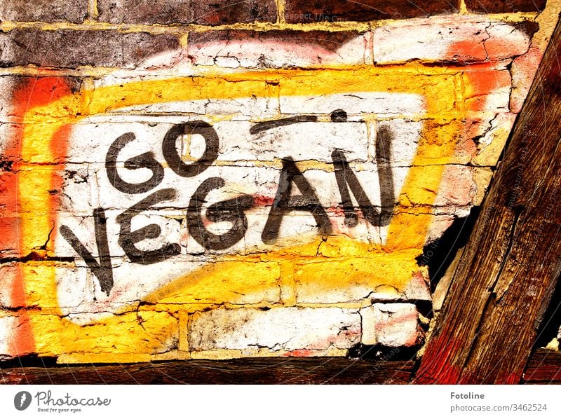 Graffitti "GO VEGAN" an einer Mauer eines Fachwerkhauses Go Vegan Grafitti Wand Buchstaben Rechte Grau Farbe grafitti Graffiti Wandmalereien Kunst