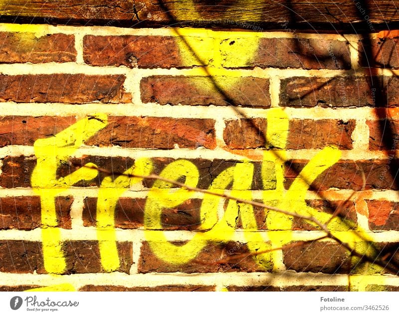 Freak? - oder der Schriftzug Freak als Graffiti auf einer alten Mauer Wand Außenaufnahme Farbfoto Menschenleer Schriftzeichen Tag Fassade Zeichen Nahaufnahme