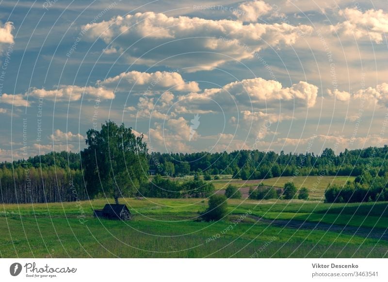 Landschaft mit Wiesen und Feldern in Lettland Reise Ackerland Perspektive Regie Sonnenlicht Boden Rasen Szene Wolkenlandschaft reisen Horizont Schmutz Tag Gras