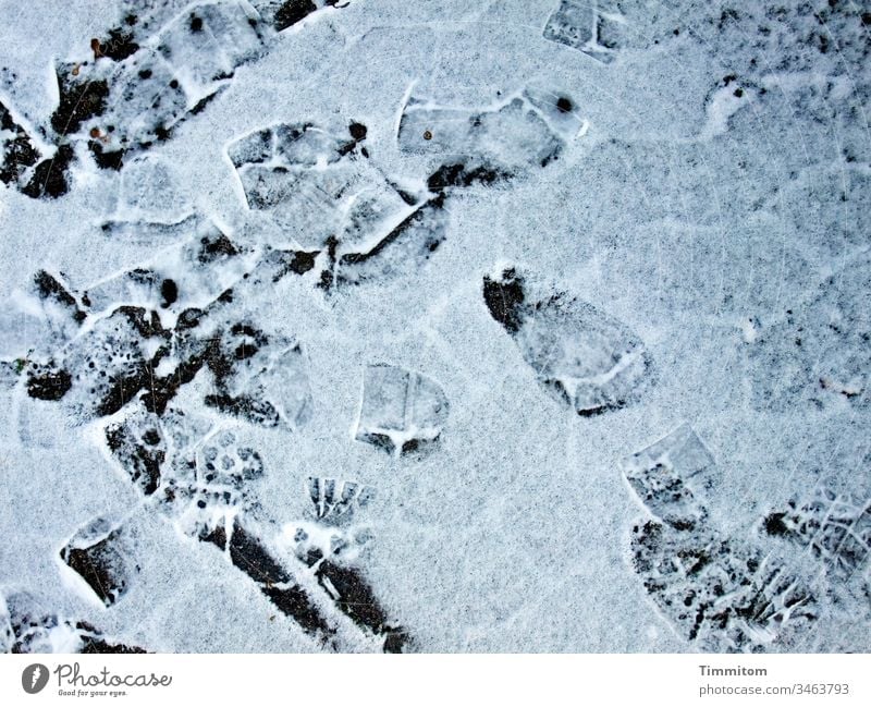 Kühle Spuren Winter Schnee Frost Abdrücke Fußspur Sohlen kalt weiß Menschenleer Wege & Pfade Pflastersteine