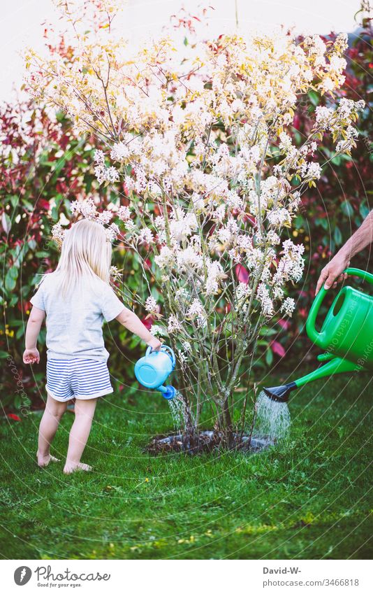 Teamwork - Vater und Kind wässern gemeinsam im Garten Vater mit Kind Gießkanne Mädchen Tochter Zusammensein Zusammenhalt Kindererziehung Pflanzen Blumen