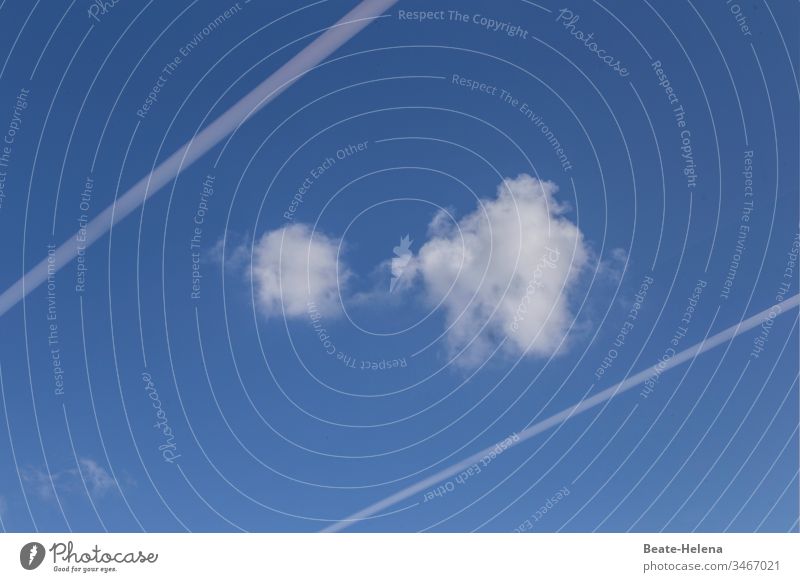 Kleine Wolken zwischen Kondensstreifen gefangen Schaf-Wolken Himmel himmelblau blau-weiß Blauer Himmel Sommer Textfreiraum Froschperspektive Schönes Wetter