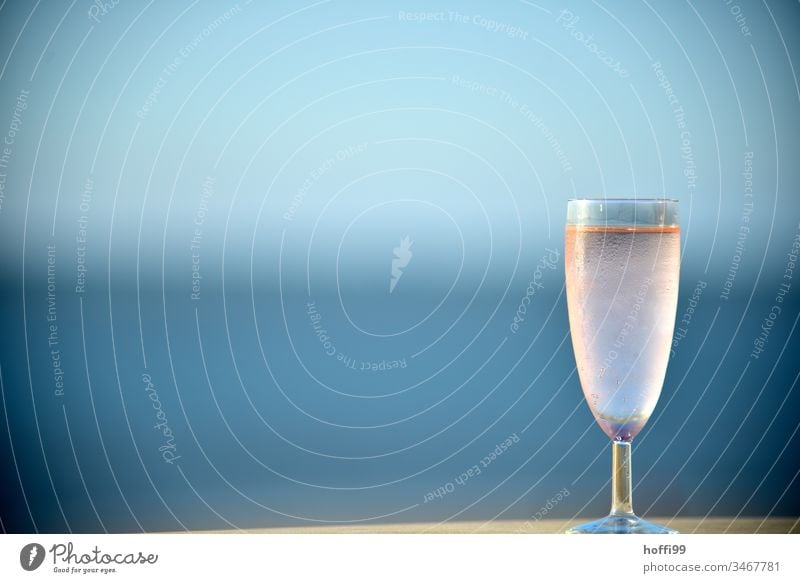 Champagner am Meer Wein Sektglas Weinglas Glas Alkohol Prosecco Erfrischungsgetränk Longdrink trinken lecker Spirituosen Cocktail Getränk Bar Limonade