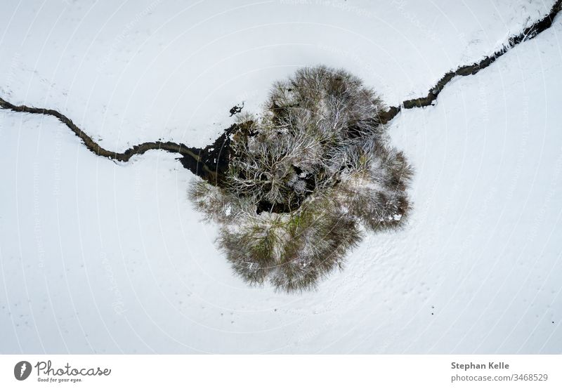Luftperspektive auf einen einzelnen Baum und ein überquerendes Flüsschen in einer winterlich verschneiten Draufsicht. Winter Schnee Single Fluss Bach allein