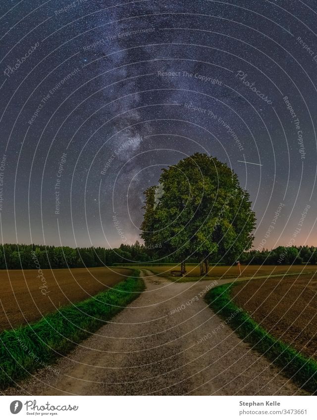 Die Milchstraße hinter einem einsamen Baum in einer sternenklaren Nacht im Sommer. Stern Galaxie Astronomie Straße Himmel galaktisch Zentrum milchig Bäume Weg
