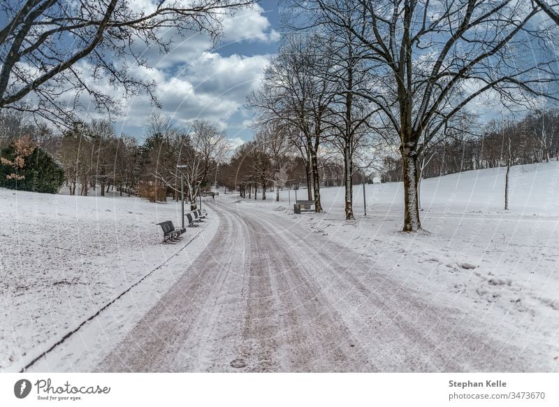 Winter in München, der Weg zum Schnee. Park Natur Landschaft Himmel Wolken weiß kalt Klima Umwelt Nizza schön Saison gefroren Bank außerhalb Baum Straße Bayern