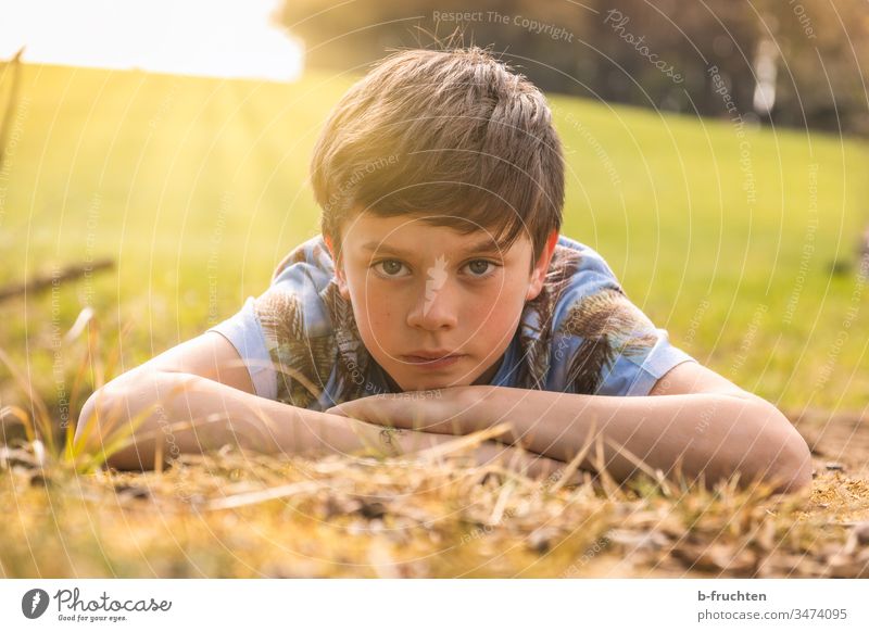 Kind auf der Wiese liegend, Abendsonne, Portrait Gras Sommer Erholung Frühling Außenaufnahme Natur grün Farbfoto Sonnenlicht Zufriedenheit ruhig Freude Glück