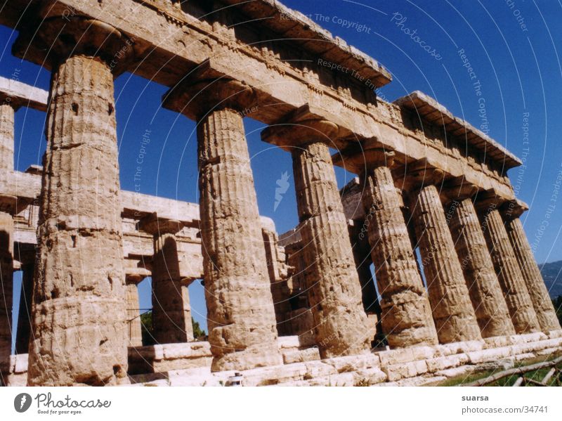 Die Tempel von Paestum 2 Italien Griechen Ferien & Urlaub & Reisen Europa Licht Kultur historisch Gebäude Architektur Säule Römerberg Himmel