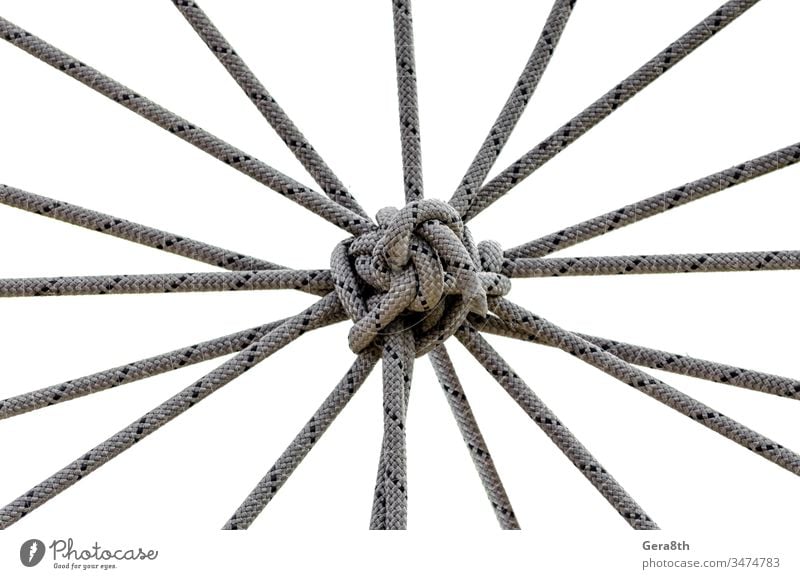 viele Seile und ein großer Knoten aus nächster Nähe abstrakt abstrakter Hintergrund Zugehörigkeit Anhang Zusammenhalt schwarz Kabel Nahaufnahme Kombination