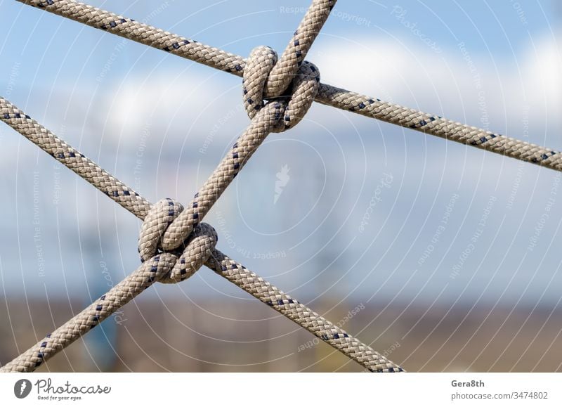 viele Seile und ein großer Knoten aus nächster Nähe abstrakt abstrakter Hintergrund Zugehörigkeit Anhang Zusammenhalt Kabel Nahaufnahme Kombination Mitteilungen