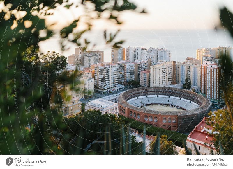 Die historische Stierkampf-Arena von Malaga im Sonnenaufgang Stierkampfarena Mittelmeer Tourismus Tourist touristisch Städtereise Ferien & Urlaub & Reisen