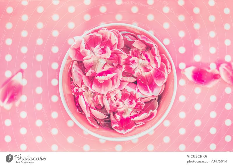 Wasserschale und schwimmende rosa Blumen auf Polka-Dot-Hintergrund, Draufsicht Schalen & Schüsseln fliegend Polkatänzer Punkt oben Aroma Aromatherapie schön