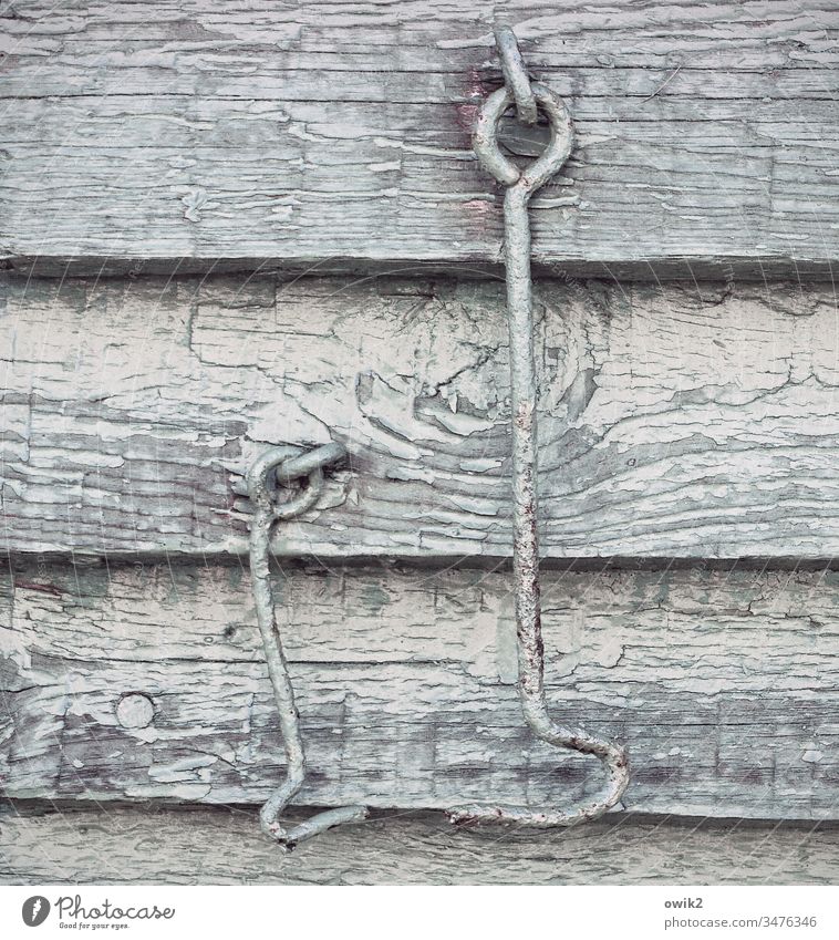 Alte Freunde Wand Holz Haken hängen zwei alt Vergänglichkeit Metall gebogen gegenüber kontakt freunde Zweisamkeit Detailaufnahme Holzmaserung Farbe abblättern