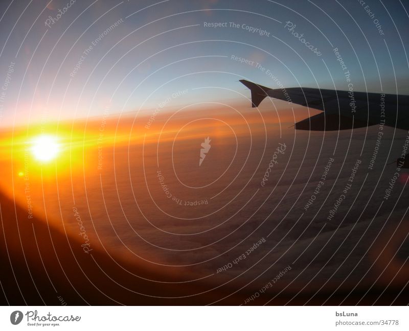 we love germanwings Sonnenuntergang Flugzeug Wolken Licht strahlend Luftverkehr Himmel Flügel