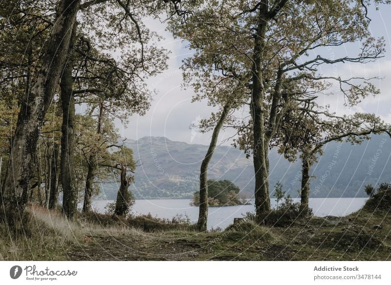 Friedliche Landschaft mit See und Bergen Berge u. Gebirge Wald friedlich Nebel Baum ruhig Windstille Hügel Wasser Natur malerisch reisen Schottland Dunst