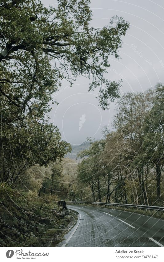 Landstraße zwischen Wald und Bergen Straße Berge u. Gebirge bedeckt trist wolkig nass Baum Kurve Landschaft Asphalt grün Ast Natur reisen Ausflug Schottland