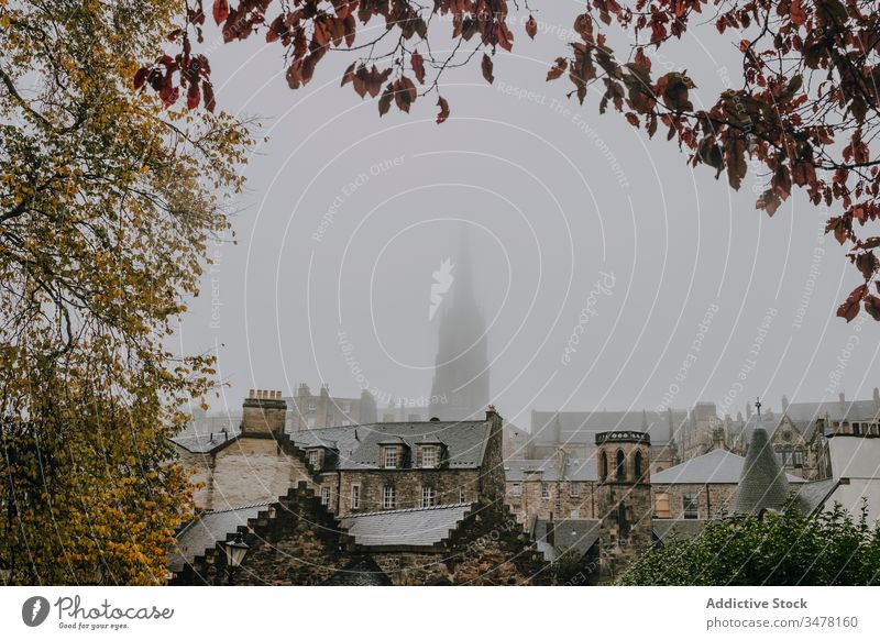 Altstadt mit Kirche an nebligem Tag Architektur antik Gebäude historisch Nebel Herbst Großstadt Stadt Schottland Inverness alt Baum Ast Rahmen trist reisen