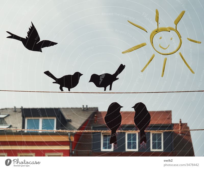 Plausch in der Sonne Detailaufnahme Fenster Blick nach draußen Deko Vögel fliegen kommunizieren Kontakt Himmel gemalt Kunst Häuser bedeckt Textfreiraum oben