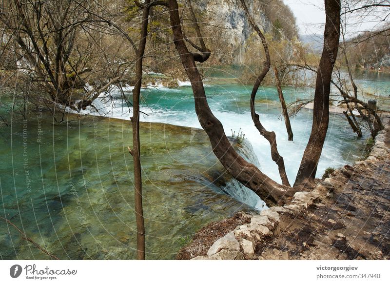 Plitvicer Seen, Kroatien Umwelt Natur Landschaft Wasser Frühling Herbst Klima Klimawandel Wetter schlechtes Wetter Sturm Baum Wald Seeufer Flussufer Wasserfall