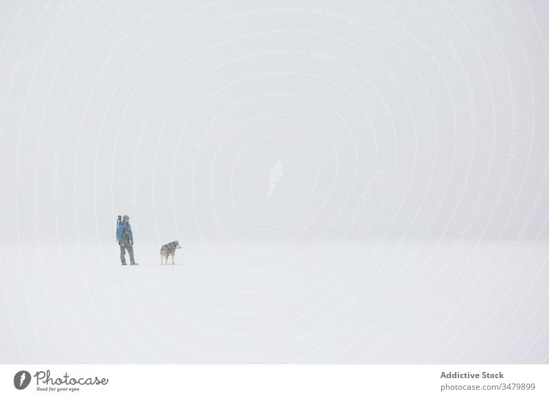 Mann geht mit Hund in verschneiter, stürmischer Landschaft Schnee Winter kalt Haustier Wetter männlich Frost Natur Freund weiß Eckzahn Zusammensein Reinrassig