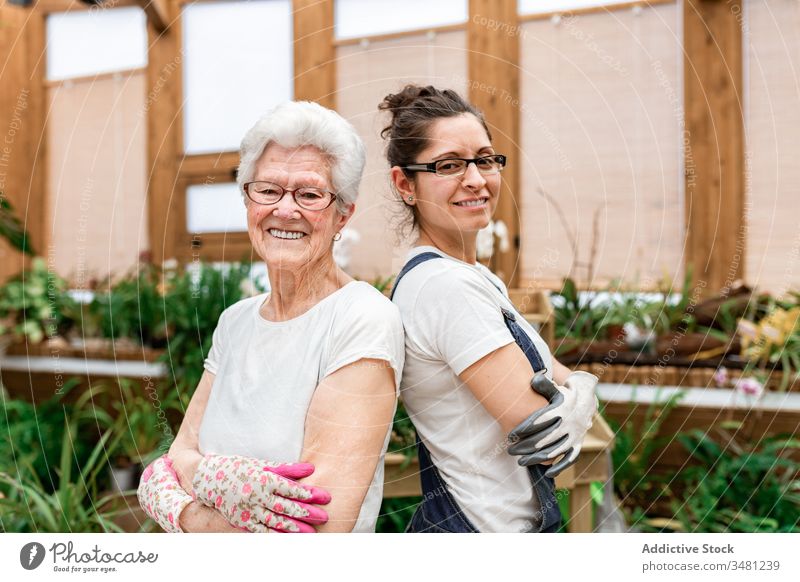 Zuversichtliche Gärtnerinnen, die für die Kamera lächeln Frauen positiv Arbeit Zusammensein Lächeln Gewächshaus Pflanze älter Gartenbau organisch Glück Pflege