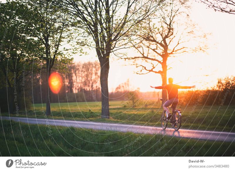 Ich kann fliegen Mann fährt mit dem Fahrrad Natur Sonnenuntergang Sonnenlicht freihändigfahren Freiheit Schwerelosigkeit schwerelos Fahrradfahren Fahrradtour