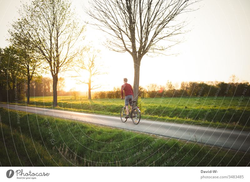 Mann fährt im Sonnenlicht mit dem Fahrrad übers Land fahren Fahrradfahren Fahrradtour Außenaufnahme Wege & Pfade Farbfoto Bewegung Tag Freizeit & Hobby
