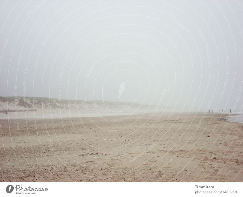 Geräusche | von Wind und Wellen an dänischem Strand Dänemark Sand Dünen Menschen Nordsee Urlaub Natur Sturm