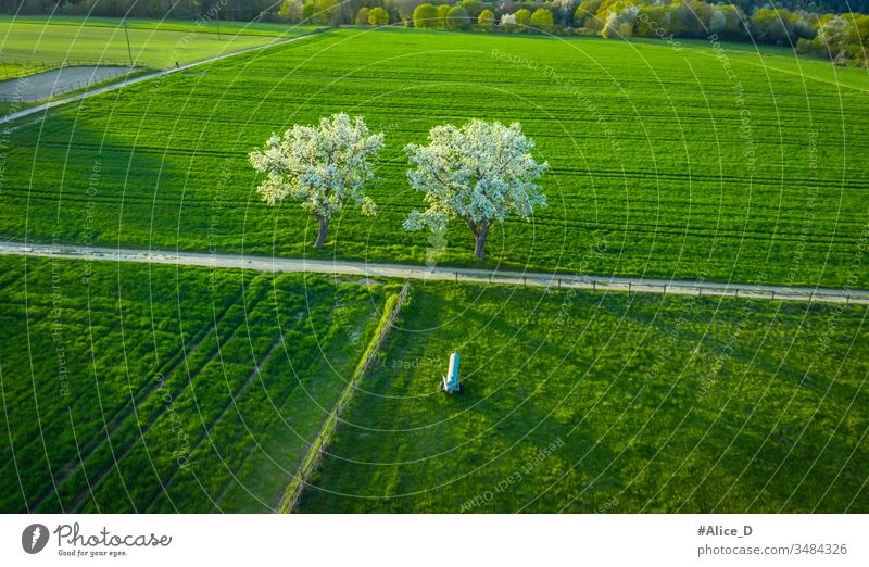 Luftaufnahme der Frühjahrsblüte Obstbäume auf grünen Agrarflächen Remagen Deutschland oben Antenne landwirtschaftlich Ackerbau Apfel Hintergrund Überstrahlung
